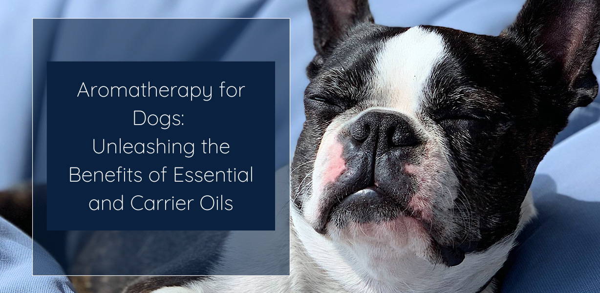 Aromatherapy for Dogs Unleashing the Benefits of Essential and Carrie